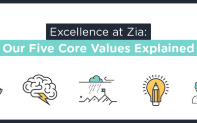 Excellence at Zia: Our Core Values Explained